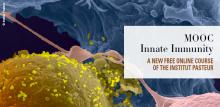MOOC Innate Immunity of the Institut Pasteur